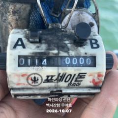 26.10.07 백사장항 무야호 갑오징어 조황^^