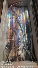제주에이스호!!(10월7일) 대갈치 사냥다녀왔