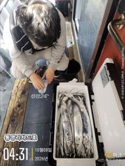 10/7(수) 갈치(텐빈,텐야)폭풍입질 전원 쿨러 가득~ 일요일부터 자리여유