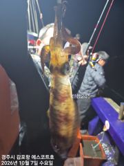 주간은 삼치&방어가 득실득실~야간은 무늬오징어가 끝네주네요 에…