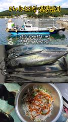 [마산] 구산면 타이거 칼치