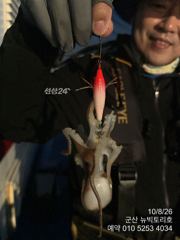 8일, 군산 쭈구미,갑오징어 연일 좋아요~실시간 ~군산낚시프라자 뉴빅토리호