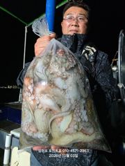 [사천] 내일 오후&야간 돌문어 출조확정!! 자리여유(예약중!!)