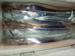 [거제] (갈치)초~대박 가을시즌 느나느나~전원 만쿨~해신호(12일 예약…