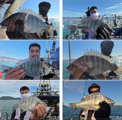 4짜 4짜급외 미친 마릿수 손맛!!! 금/토/일 예약중!!!