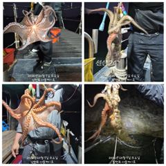 [사천] 10월 7일 야간 돌문어 대박 조황!! 오늘 야간에도 출조 확정…
