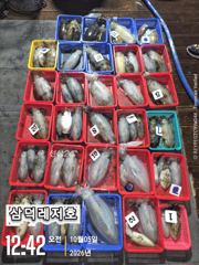 [통영] [팁런]k.k.무시급.마리수(오늘.출항 확정 자리널널)