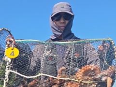 (실시간)문어 구덩이 원도권 마릿수 쭉쭉 뽑는 중 락피싱(9일 …