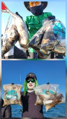 ☆군산 태헌호 10/08(목) 쭈꾸미&갑오징어 조황 — 오늘도 쭈&갑 즐겁게 잡고 왔습니다!☆