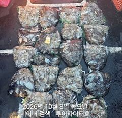 루어파이터호-10/7 목 [4물] 쭈꾸미/갑오징어 조항 입니다.