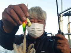 삼천포쭈꾸미 풍년입니다