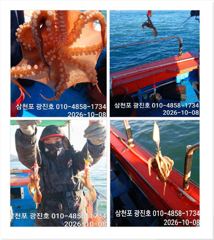 광진호,왕쭈 장원178수{평일,할인},토,일,자리여유 예약중