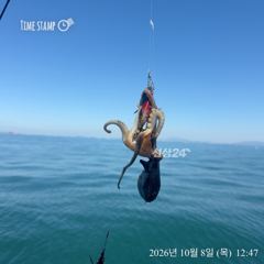 쥬구미와 문어의 관계(?)