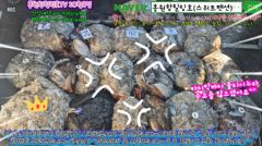 10월8일 홍원항힐링호 Very Good~ 쭈갑 조황~!장원11.3kg오바~ 2등9.2kg 전원5~8kg씩 잡으셨네요ㅎㅎ 손맛들 제대로 보셨네요.수고들 많으셨습니다~ㅎㅎ