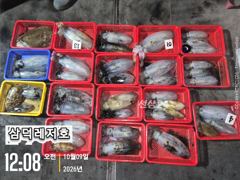 [통영] [팁런]k, 무시급들,대물갑돌이(금요일,출항확정,자리여유)