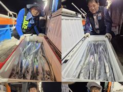 통영영운호14석) 먼바다 왕갈치 3지4지도 많이 나오고 대박 쿨러조황(오늘1자리 있습니다