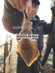 8일, 군산은 갑오징어 천국~새벽에 더 많이 나오네요~실시간~군산낚시프라자 챔피언호