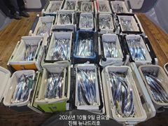 내만 갈치 미치것네 오늘도 엄청시리 잡고~~(일욜부터 예약 가능)