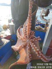 고흥장보고호 선상낚시 조황