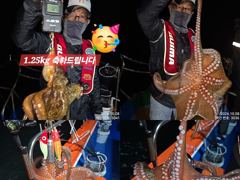 [진해] 8일 조항. 대~박터지는 포인트찾아 야간~돌문어 마리수 잡으러…