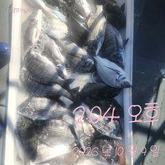 [고성] 9일 감성돔 흘림 조황입니다.