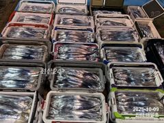 [진해] [9일입항,준내만갈치]만쿨에 쿨러추가까지!! 엄청나게잡았습니다!…