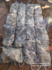 ^9일(금) 왕쭈 퍽퍽 하네요 ~ "일욜부터 쭈욱 예약중입니다^^