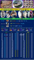 ♥붉바리조황 이정도는 잡아봐야지요 대박 조황입니다[2026년10월09일 ] ◎ 해마루호가 뜨는이유? 조황때문이죠 ◎ 핵심포인트: 바로진입.. 바로히트.. ◎ 차원이 다른 조황으로 모십니다 ▣ 요즘 붉바리낚시가 대세입니다 사진