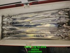 [여수 마린피싱] 이동강행~!!! 손맛보고~!!! 씨알좋고~!!! 만족하고~!!! 010-5583-4490