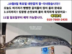 [경주] 제발 그만좀 물어라.. 더 이상 잡아올릴 기운조차 없어~~. 너무힘들어. (10월 10.11일 오전.오후 출조모집중) 사진