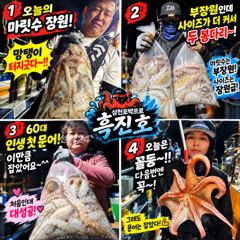 삼천포박프로 흑진호｜첫 원도권 야간문어! 이제 마릿수보다 덩치로 승부한다! 삼천포문어낚시