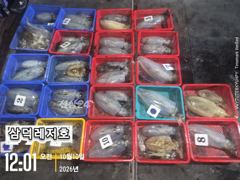 [통영] [팁런] k, 무시급들,들(일요일,출항,예약중)