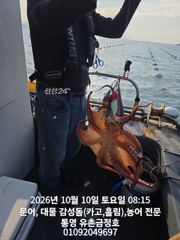 통영 금정호 오전문어 아침부터 묵직한 손맛 좋습니다 오늘 오후,…