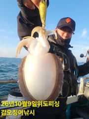 9일 격포위도피싱 갑오징어 조황입니다
