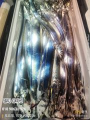 [진해] 윤피싱 준내만 텐빈 시작부터 철수까지 끊임없는 입질~ 내일 예약…
