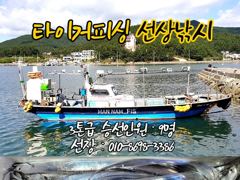 구산면 타이거 칼치