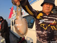 10일, 군산은 갑오징어 천국~대박 시즌~실시간~군산낚시프라자 뉴라이브호