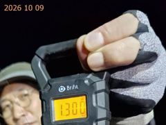 [부산] 1.3K 1K 0.8K 와우 무시 씨알 무늬 오늘도 GO!