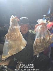[통영] 통영 송현호))문어밭,갑돌이밭에서 마리수 뽑기~
