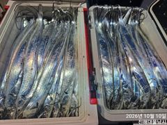 [진해] 우와,10일새벽,내만칼치,3지4지용가리들퍼담고 초초대박,씨알미쳐…