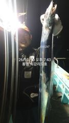 [통영최강리드호] 왕갈치 실시간 조황/씨알 끝내줍니다