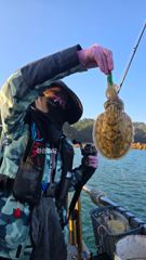 10월 10일 대양호 조황정보