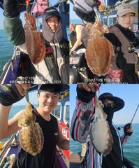 10/10 갑오징어 조황