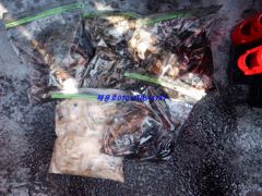 26년 10월 10일 조황