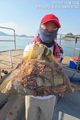 [사천] 돌문어 오늘오전6시출조 자리여유