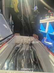 정직한 텐빈조황~ 전원 만쿨입니다. 오늘2자리