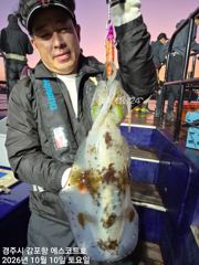 주간에는 삼치및방어 쿨러채우는데 시간문제~~야간에는 무늬가. 쥑입니다