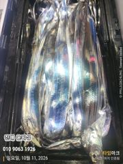 [진해] 준내만 텐빈 3지,4지 씨알급으로 쿨러가득~ 오늘 예약가능!!