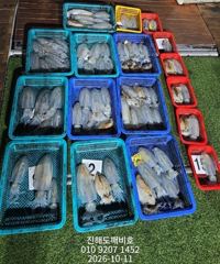 팁런무느오징어 오늘자리여유많습니다