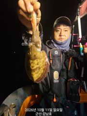 10월11일 군산 강남호 갑오징어실시간 조황 (12일 월요일 …